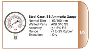 Pressure Gauge