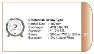 Pressure Gauge